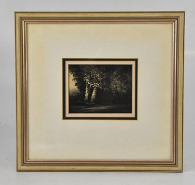 Lot TREVOR GRIMSHAW (1947-2001); pencil, landscape...