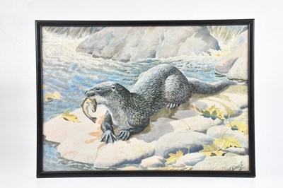 Lot 1742 - CHARLES TUNNICLIFFE; print, 'Otter with fish...