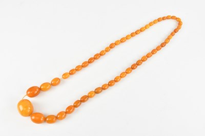 Lot 309 - A single strand of butterscotch amber coloured...