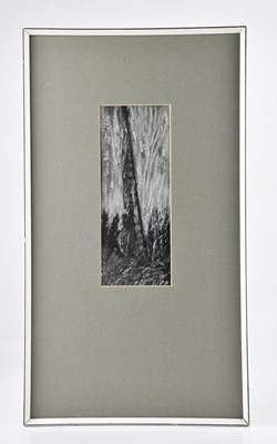 Lot 50 - NORMAN MACDONALD; pastel, 'Study of...