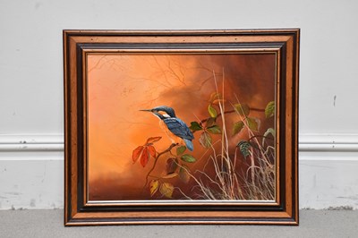 Lot 1023 - MICK POOLE; oil on board, a kingfisher...