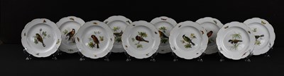 Lot MEISSEN; a set of ten porcelain ornithological...