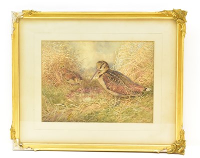 Lot 450 - WILLIAM WOODHOUSE (1857-1939); watercolour,...