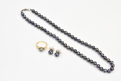Lot 243 - A single strand of black (Coia) cultured...