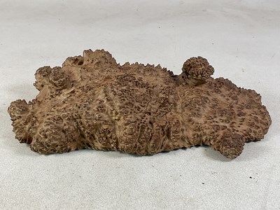 Lot 78 - A substantial piece of Mallee Burl wood,...
