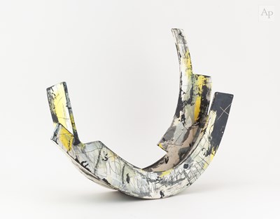Lot 495 - REBECCA APPLEBY (born 1979); a large...