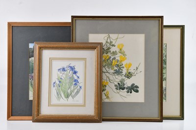 Lot 1501 - ISOBEL BARBER FRSA (1914-2001); watercolour,...