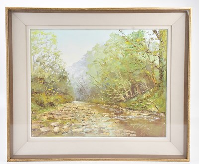 Lot 1088 - NOONAN; oil on canvas, 'The Dargle River Ennis...