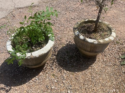 Lot 899 - A pair of reconstituted plant pots, height...