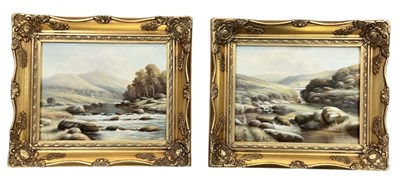 Lot 269 - BOB TUCKER (British, born 1951); a pair of oil...