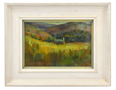 Lot 174 - JOYCE PARFITT; oil on board, 'Yarns Hill...