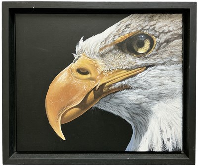 Lot 243 - GINA HAWKSHAW; oil and acrylic on canvas,...
