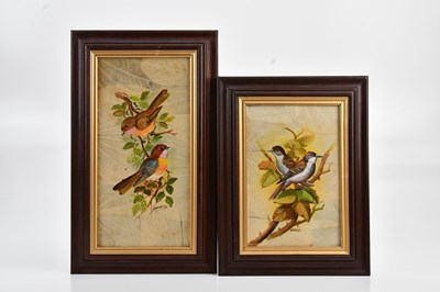 Lot 1106 - Two oil on leaves on board representing birds...