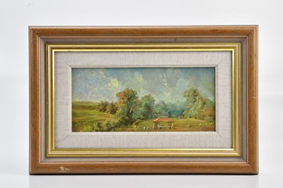 Lot 1105 - UNATTRIBUTED; oil on board, landscape,...