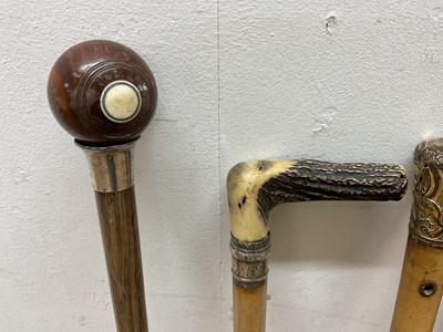 Lot 6 - Two walking sticks comprising an ebony hard...
