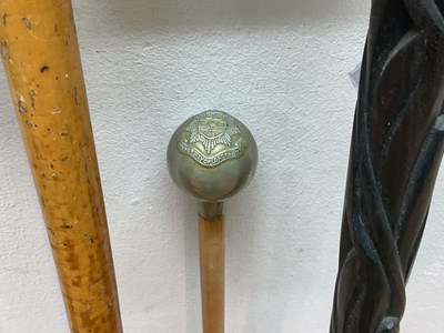 Lot 6 - Two walking sticks comprising an ebony hard...