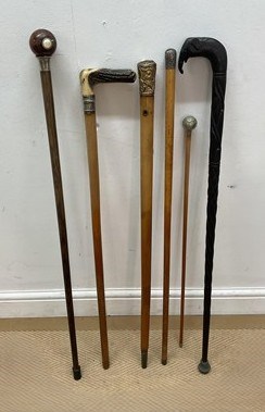 Lot 6 - Two walking sticks comprising an ebony hard...