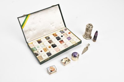 Lot 549 - NATURAL HISTORY; a small case containing...