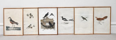 Lot 2259 - HULLMANDELL AFTER GOULD; three 19th century...