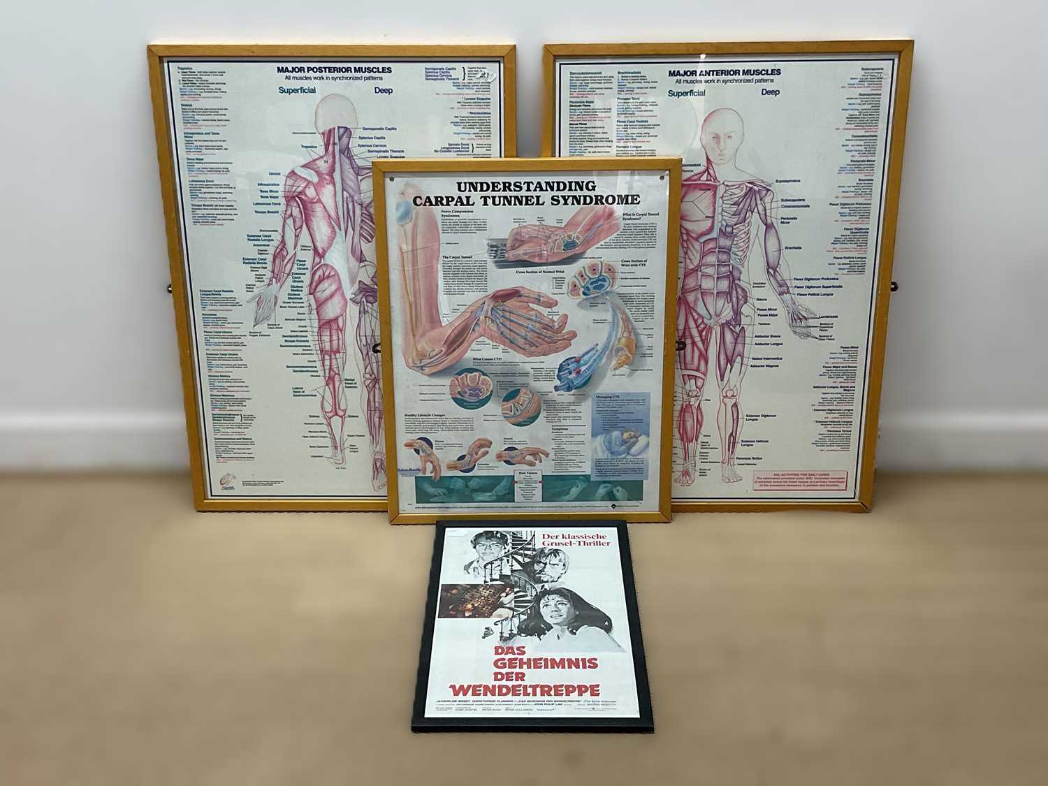 Lot 18 - Three late 20th century anatomical posters, 84...