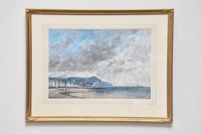Lot 2284 - IVAN TAYLOR (born 1946); oil, 'View of...