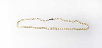 Lot 1039 - A single strand of graduated cultured pearls,...