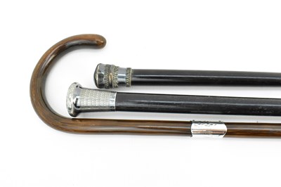 Lot 325 - Two 19th century walking canes, one with...