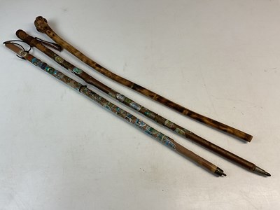 Lot 49 - Three rustic walking sticks, two fitted with...