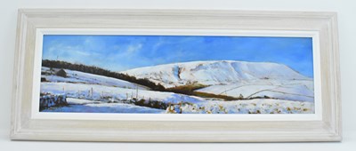 Lot 356 - PETER TAYLOR (British, contemporary); oil on...