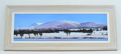 Lot 355 - PETER TAYLOR (British, contemporary); oil on...