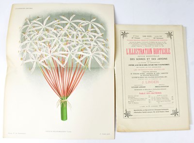 Lot 732 - L'ILLUSTRATION HORTICOLE; Monthly Revue for...