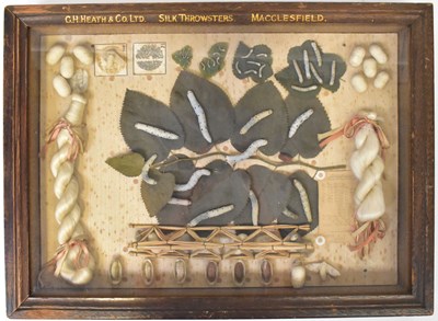 Lot 325 - MACCLESFIELD & ADVERTISING INTEREST; a C. H....
