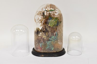 Lot 324 - TAXIDERMY; a late 19th century group of birds,...