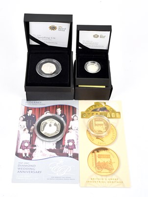 Lot 586 - A 2008 Royal Shield of Arms £1 silver proof...