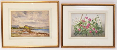 Lot 508 - ALICE E WALLER (1884-1973); watercolour,...