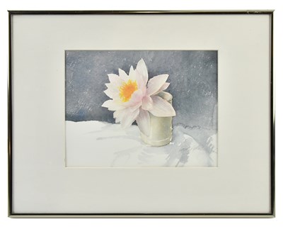 Lot 1579 - DAVID HUNTER; watercolour, still life, signed,...