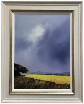 Lot 318 - BARRY HILTON; a limited edition embellished...