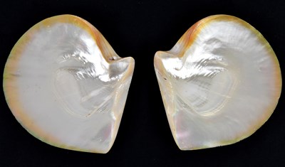Lot 315 - A pair of mother of pearl shells, 22 x 25cm (2).
