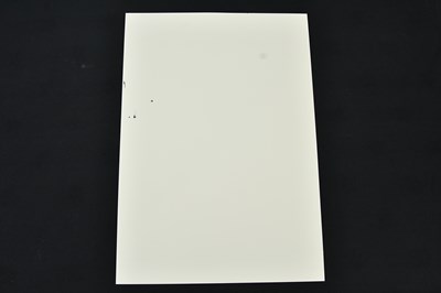 Lot 23 - PURE EVIL (CHARLES UZZELL-EDWARDS, born 1968);...