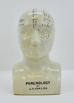 Lot 510 - A reproduction Fowler phrenology head, height...