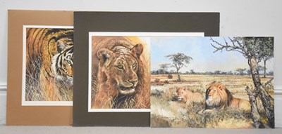 Lot 1526 - EDGAR HODGES (1928-2025); oil on board, lion...