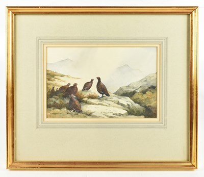 Lot 1367 - BERRISFORD HILL (born 1930); watercolour, grouse