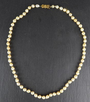 Lot 1269 - A vintage single-strand pearl necklace with...