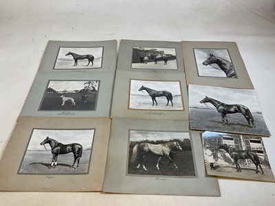 Lot 585 - FRANK GRIGGS, Newmarket photographer; nine...