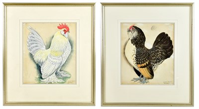 Lot 735 - CHARLES FREDERICK TUNNICLIFFE (1901 - 1979);...