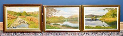 Lot 796 - PHILIP GERRARD; three oils on board, 'Grasmere,...