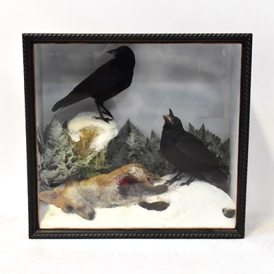 Lot 172 - TAXIDERMY; two crows eating the entrails of a...
