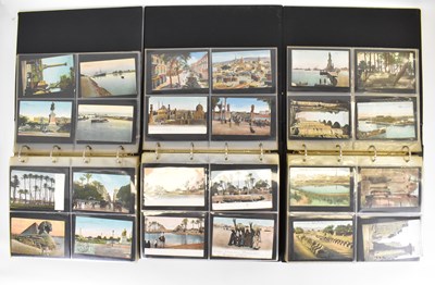 Lot 604 - Three albums of early 20th century Egypt...