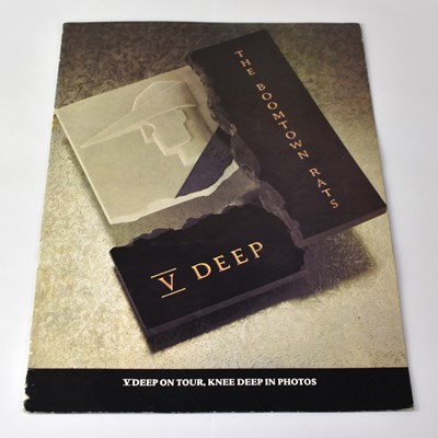 Lot 171 - BOOMTOWN RATS; a 'V Deep On Tour' programme...