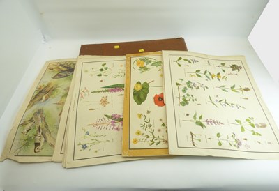Lot 500 - A portfolio of twenty-five of sixty-two numbered prints